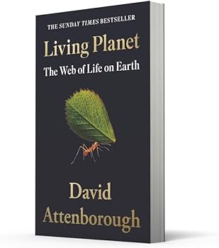 洋書 Planet Organic: Organic Living Organic Living | Products for a Clean Home & Life – Organic Living AZ