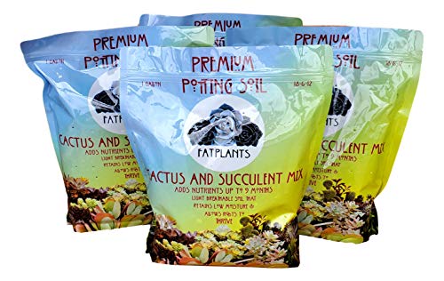 Cactus & Succulent Potting Mix Soil by Fat Plants San Diego