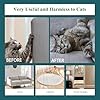 Cat Deterrent Spray,Natural Safe Upgraded Scratch Deterrent Training Aid for Furniture,Sofas,Rugs,Curtain Protection #2