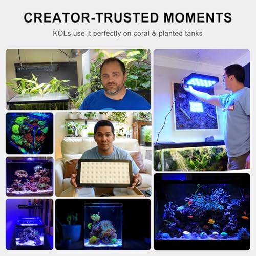 Image of Wills Aquarium Light, 100W Full Spectrum LED Reef Lights, 16 inchx8 inchx2.4 inch | Coral Saltwater Fish Tank, Blue /White Dual Dimmable Channels, 55 Premium SMD LEDs, Daisy Chain Design, Hanging Kit