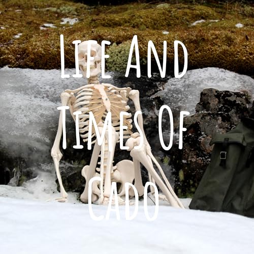 Life And Times Of Cado cover art