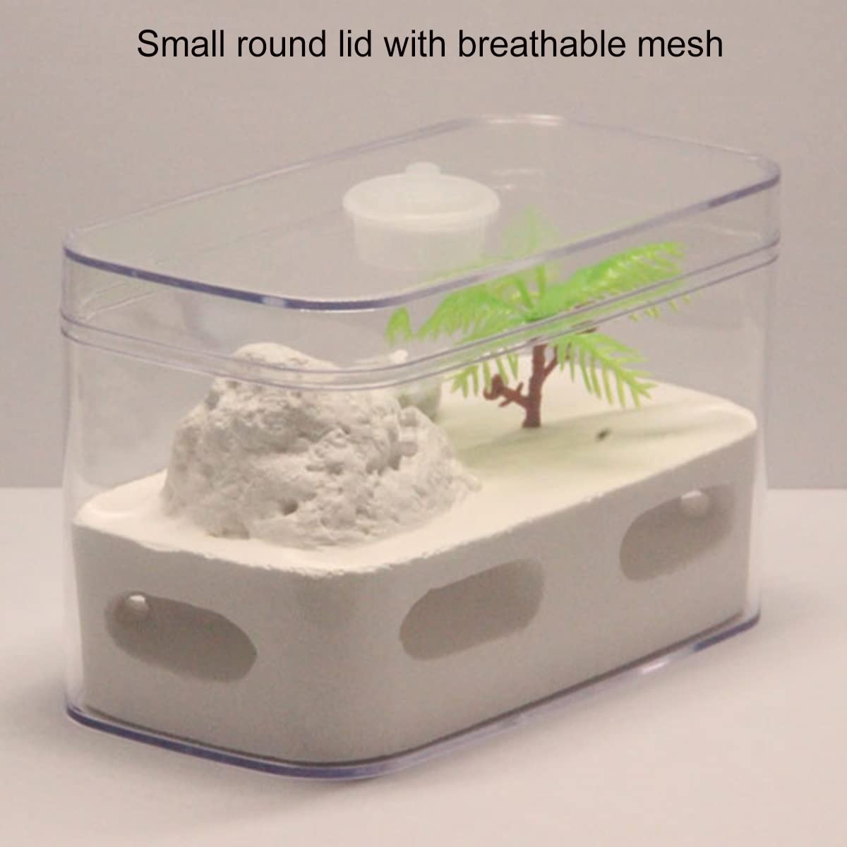 Amazon.co.jp: アリの巣 アリの巣 石膏製 アリ農場 アリの巣 蟻専用