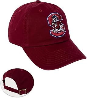 Desert Cactus South Carolina State University Baseball Hat SCSU Bulldogs Brimmed Embroirderd Cap Adjustable Cloth Strap Adult (Style A) Red