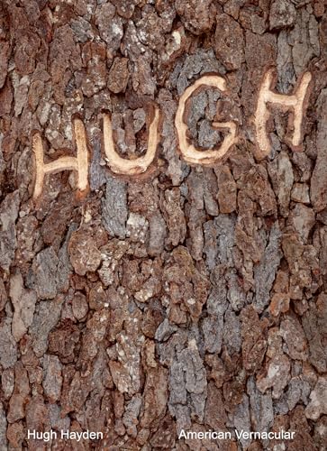 Hugh Hayden: American Vernacular