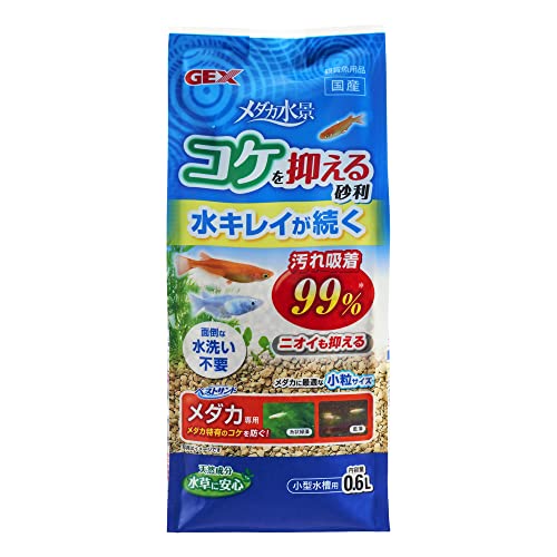 WFbNX xXgTh _Jp  0.6(TCY:1-3mm)