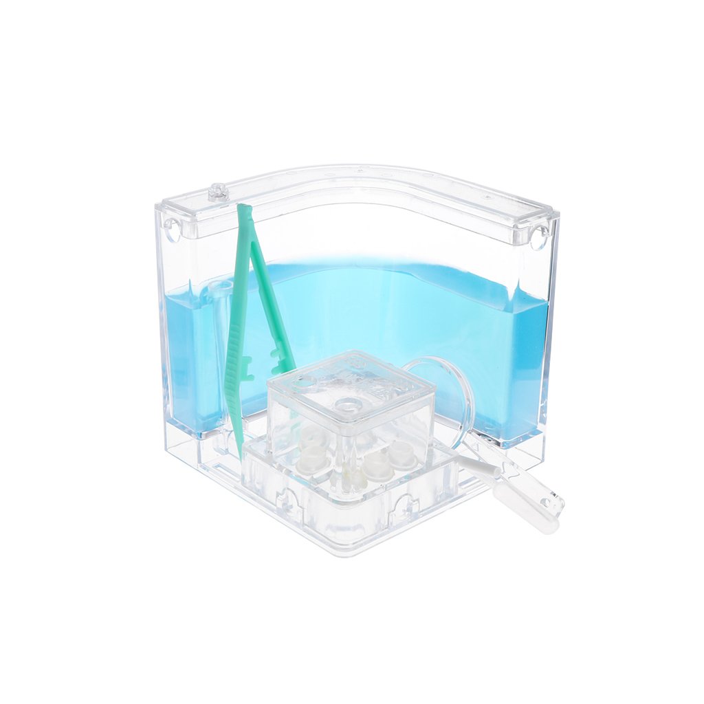 WT-DDJJK Beekeeping Tools, Ant Farm Gel Maze 3D Educational Nursery Live Feeding System Novelty Habitat New