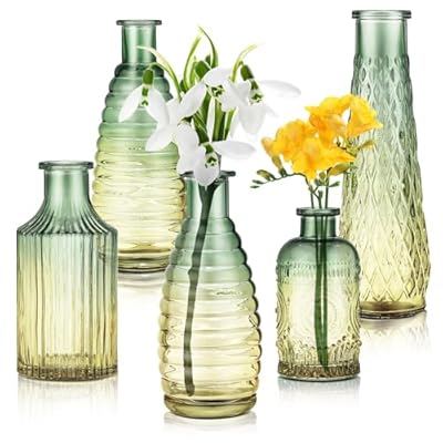 Joeyan Small Embossed Glass Bud Vase,Sage Green and Amber Colored Vintage Rustic Decorative Vase,Gradient Centerpiece Bouquet Glass Vases for Single Flower,Set of 5