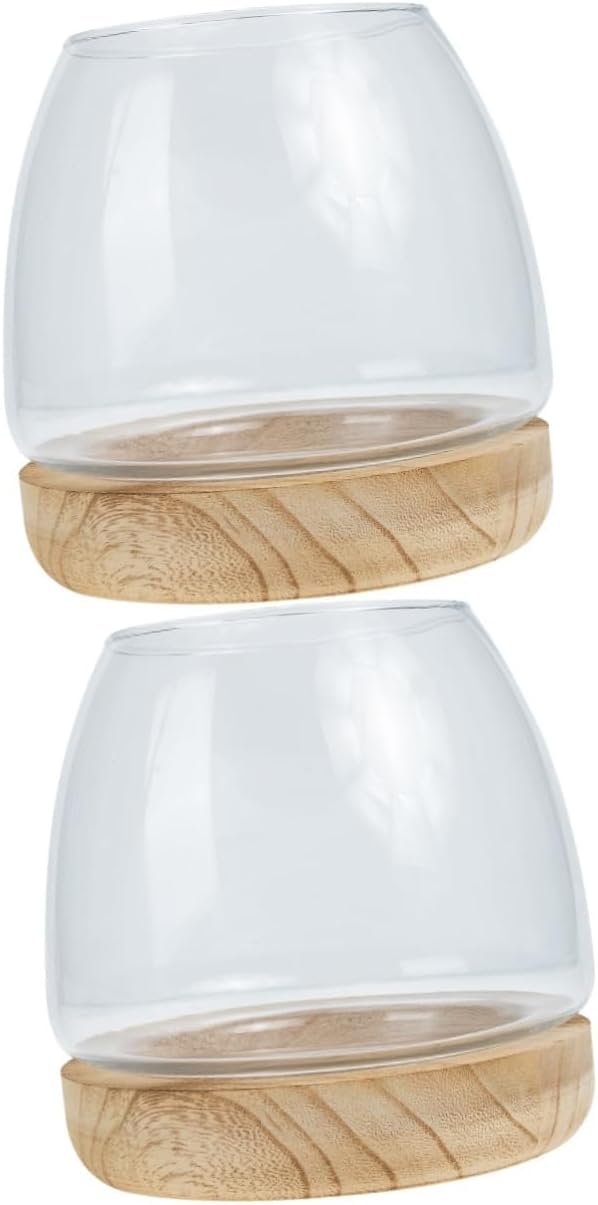 BESTOYARD 2pcs Landscape Bottle Transparent Glass Hydroponic Vase for Water Plants Desktop Decor for Home Office Centerpiece