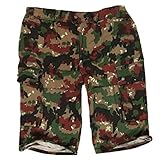  P-T-D Orig. Schweizer Bermudashorts (48/80)