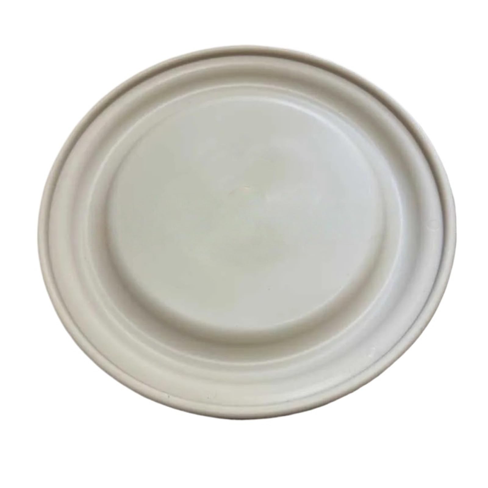 Bomba neumática PD20P-FPS de diafragma de 2" serie PD20 94329
