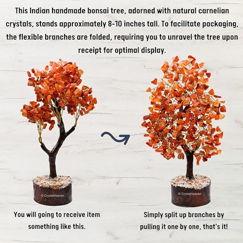 Image of Certified Carnelian Crystal Tree for Good Luck - Healing Crystals Money Tree for Wealth, Positive Energy at Home Office - Decorative Spiritual Gifts for Vastu, House Warming