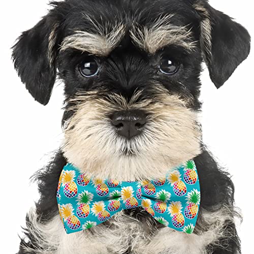 Adjustable Pre-tied bow tie for toddler Boys (Pineapple Colorful Pineapples Pattern) Elegant Cute Bowties for Dogs Cats Pets4