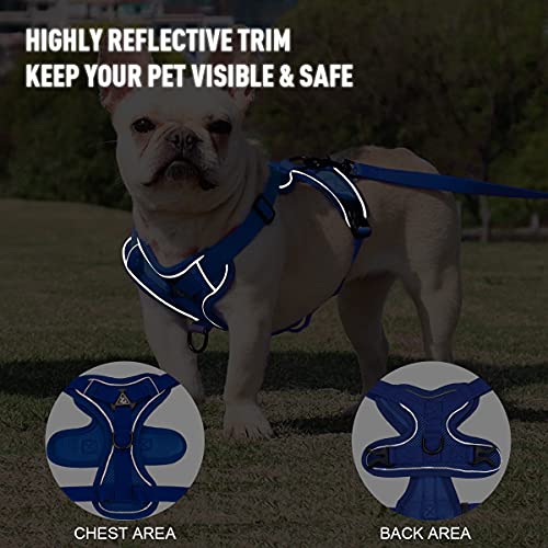 Dog Harness and Leash Set - Mesh Dog Vest Harness Breathable - Reflective Puppy Harness No Pull No Choke for Small… - Image 6