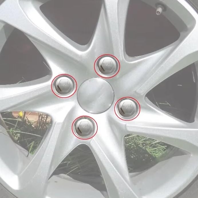 Pernos de rueda M12x1.25 para cambiar llantas en Citroën Saxo y Jumpy 4