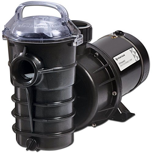 PENTAIR 340210 Dynamo Above Ground Swimming Pool Pump 1.5 Hp w/3' Cord 115V