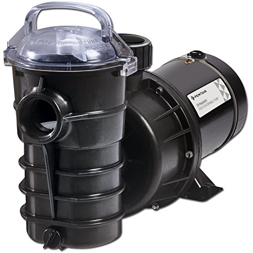 PENTAIR 340210 Dynamo Above Ground Swimming Pool Pump 1.5 Hp w/3