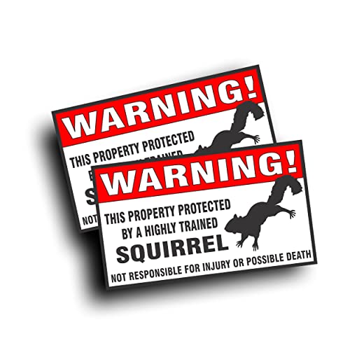 2X Warning Decal Sticker, Property Protected by A Highly Trained Squirrel for Gray Black Brown Flying Ground Tree Bumper Fence Or Window 4 x 6.5 Inch