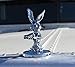 Leheybia Rabbit Gunner Hood Ornament 3D Rabbit Metal Car Hood Ornaments Galvanizing Hand Cast Statue with Mounting Screw Set for Car, Truck, Desktop and Home Decoration