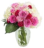 KaBloom Let Them Eat Cake Bouquet of Pink Roses and White Hydrangeas with Vase