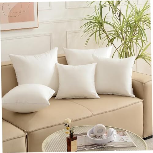 Lot de 2 coussins en polyester doux coton PP carré de luxe 16cm
