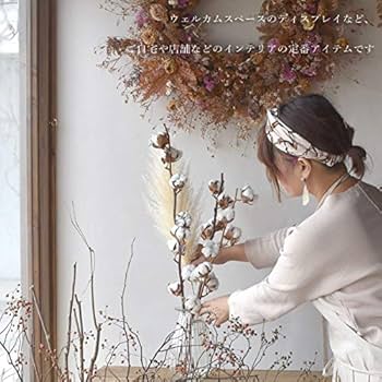 Amazon｜生花ドライ エダモノ コットン 綿 茶色 1本 切花 綿の