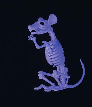 Crazy Bonez Ghostly Skeleton Rat