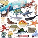 20 Pcs Ocean Animal Toy with Educational Booklet, Plastic Sea Animal with Gift Box, Mini Sea Creature Figures for Kids Age 3+, Birthday Gift, Ocean Theme Party Favor, Water Bath Toy for Toddler