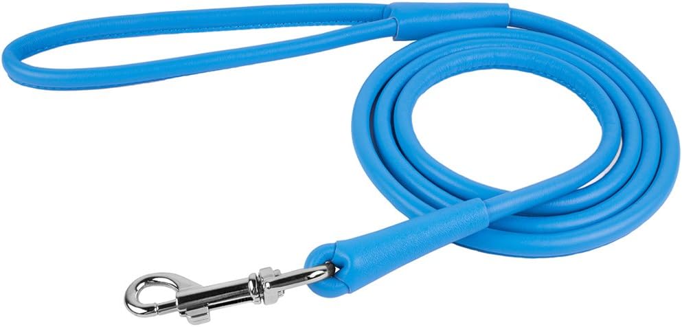 CollarDirect Rolled Leather Dog Leash 4ft, Soft Padded Training Leather Dog Lead 6ft, Puppy Leash Small Medium Large Black Blue Red Orange Green Pink White (Red, Size S 6ft)