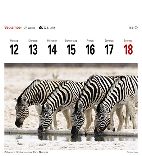 Südafrika & Namibia 2016: Sehnsuchtskalender, 53