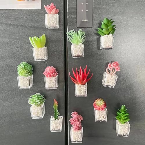 Imanes Decorativos de Plantas Suculentas MIUPOO Set de 4 miniatura 6