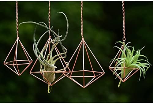 libproqia Hanging Air Plants Holders Geometric Airplant Hangers Rose Gold Tillandsia Holder Metal Pink Himmeli Metal Airfens Planter for Home Décor 4Pcs