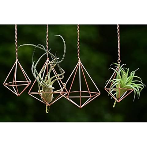 libproqia Hanging Air Plants Holders Cover