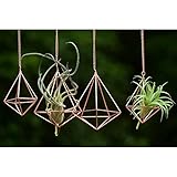 libproqia Hanging Air Plants Holders Geometric Airplant Hangers Rose Gold Tillandsia Holder Metal Pink Himmeli Metal Airfens Planter for Home Décor 4Pcs …