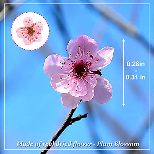 Flores prensadas secas para resina, 60 piezas rosa miniatura 2