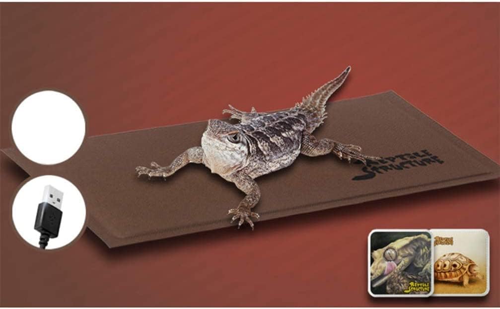 Reptile Heat Mat USB Reptile Under Tank Heating Pad Heating Pad Warmer Heater Mat with Temperature Controller for Turtle Lizard (Coffee) (Size : L)