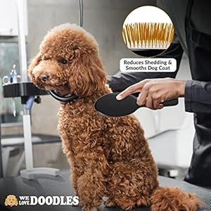   Pet-Grooming-Detangler-Pin-Dog-Brush-For-Shedding-and-Removing-Loose-Fur-Lightweight-Beech-Wood-with-Gold-Plated-Pins-for-Long-Hair-We-Love-Doodles