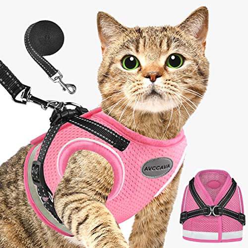 Find The Best Harness For Small Cats Reviews & Comparison Katynel