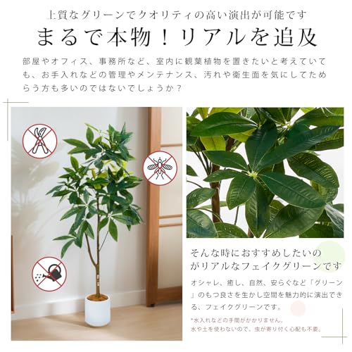 Melvint フェイクグリーン 大型 歓葉植物 フェイク 人工歓葉植物 光触媒 室内 水やり不要 お手入れ簡単 空気清浄 消臭 抗菌 シンプル おしゃれ 室内 インテリア 大型 人工 鉢植え 鉢付き お祝い 父の日（パキラ,150cm，小葉) [5]