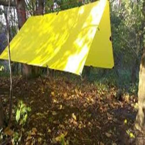 PlantaZee Tarpaulin UV Treated Pure Virgin Waterproof 160 GSM Plastic Sheet (10x12 ft) (B09G6YDM31) Amazon Price History, Amazon Price Tracker