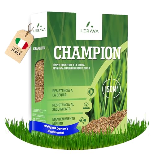LERAVA CHAMPION semillas césped (150 m²) - césped resistente a la sequía - mezcla con festuca arundinacea - bajo consumo de agua y crecimiento rápido - ideal para jardín natural y repoblación