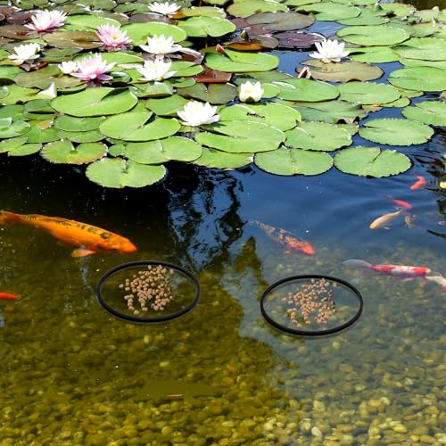 Lnngub 5 Stück schwimmende Ringe für Aquarienpflanzen, 5 Größen, Schwarz, zum Halten oder Trennen von schwimmenden Pflanzen (20/17/14/11/8 cm)