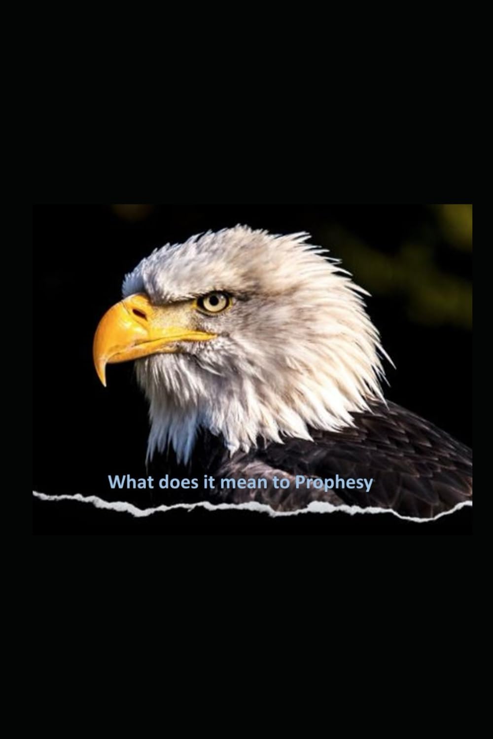 What does it mean to Prophesy