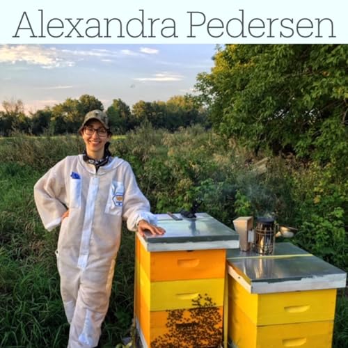 What's all the Buzz about Bees and Sanctions?