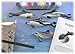 Skullduggery Eyewitness Kit Dophin Casting Kit