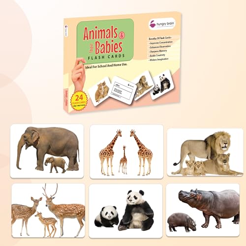 Image of Hungry Brain Animals & Their Babies Flash Cards for Toddlers & Kids | Montessori Early Learning Cards for Babies | Educational Toy for Ages 3 Months to 6 Years | Fun Preschool Activity & Gift