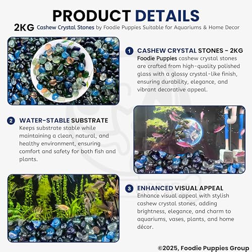 Image of Foodie Puppies Multicolored Glossy Marbles (Cashew Crystal Stones, 2Kg) (1.5cm - 2.5cm) Decorative Stone, Pebbles for Vase Fillers, Party Table Scatter, Weddings, Decoration & Beads for Aquarium
