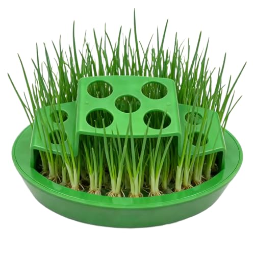 Green Onion Planter Indoor,Hydroponic Container,Onion Growing Container - for Scallion Regrow Kitchen Windowsill Counter Balcony Planting Indoor