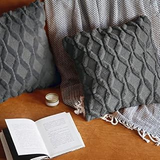 Pagnanno. Set of 2 Soft Velvet Cushion Covers 45x45cm(18x18 Inches) Fluff Throw Pillowcases Square Cushion Covers for Chairs,living room,bedroom with Invisible Zipper (18"x18" (Pack of 2), Dark Grey)