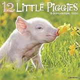 12 Little Piggies 2020 Wall Calendar
