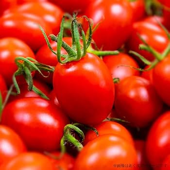 Amazon.co.jp: 【糖度11】フルーツミニトマト PRINCESS 約500g